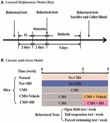 Daidzein Alleviates Hypothalamic-Pituitary-Adrenal Axis Hyperactivity, Ameliorates Depression-Like Behavior, and Partly Rectifies Circulating Cytokine Imbalance in Two Rodent Models of Depression